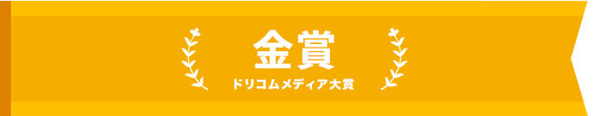 ドリコムメディア大賞_金賞