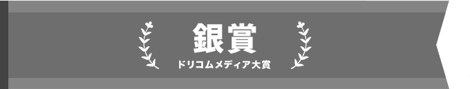 ドリコムメディア大賞_銀賞