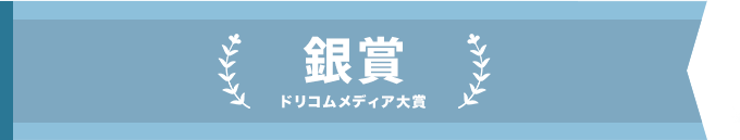 ドリコムメディア大賞_銀賞