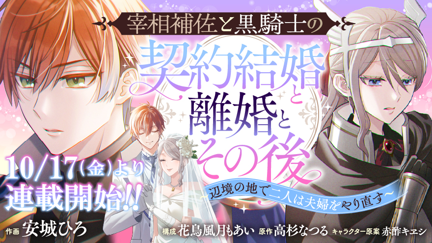 宰相補佐と黒騎士の契約結婚と離婚とその後 ～辺境の地で二人は夫婦をやり直す～