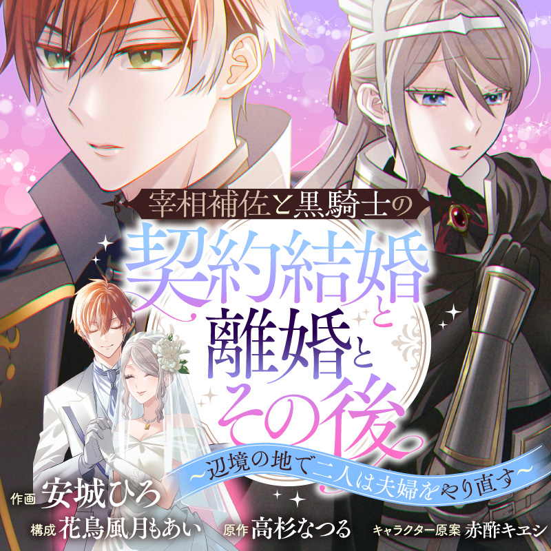 宰相補佐と黒騎士の契約結婚と離婚とその後 ~辺境の地で二人は夫婦をやり直す~