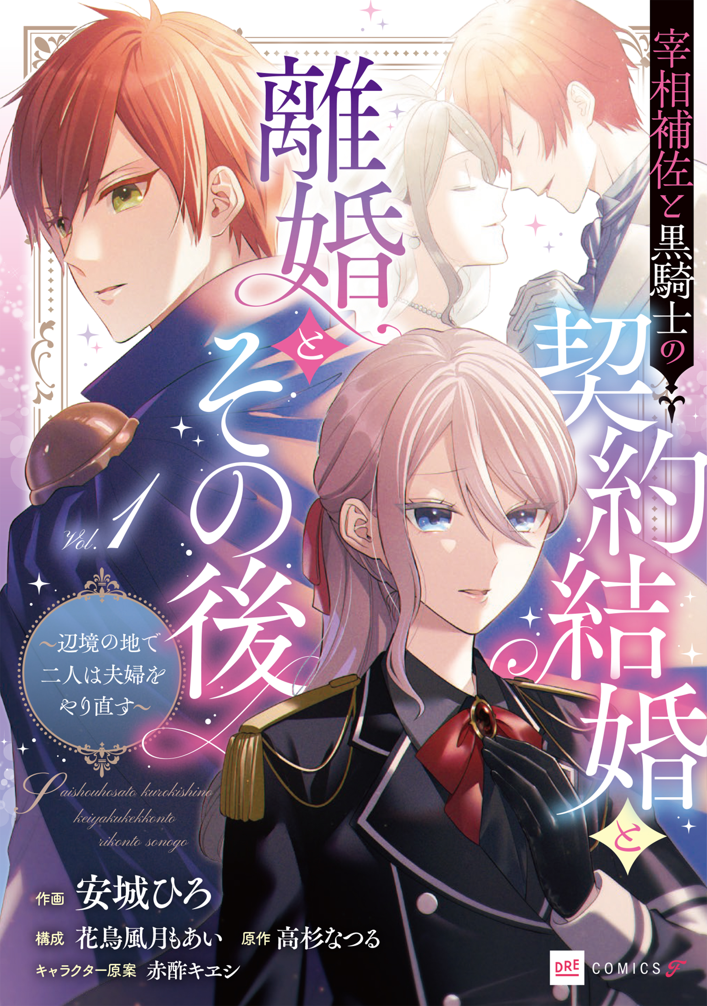 宰相補佐と黒騎士の契約結婚と離婚とその後1 ～辺境の地で二人は夫婦をやり直す～