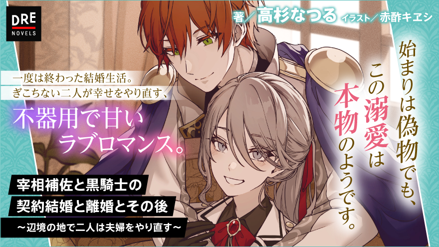 宰相補佐と黒騎士の契約結婚と離婚とその後 ～辺境の地で二人は夫婦をやり直す～