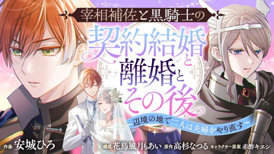 宰相補佐と黒騎士の契約結婚と離婚とその後 ～辺境の地で二人は夫婦をやり直す～