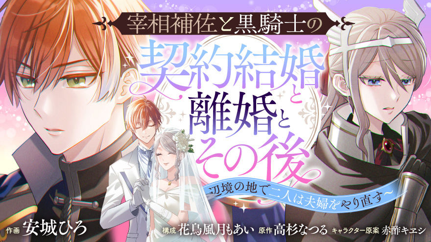 宰相補佐と黒騎士の契約結婚と離婚とその後 ~辺境の地で二人は夫婦をやり直す~